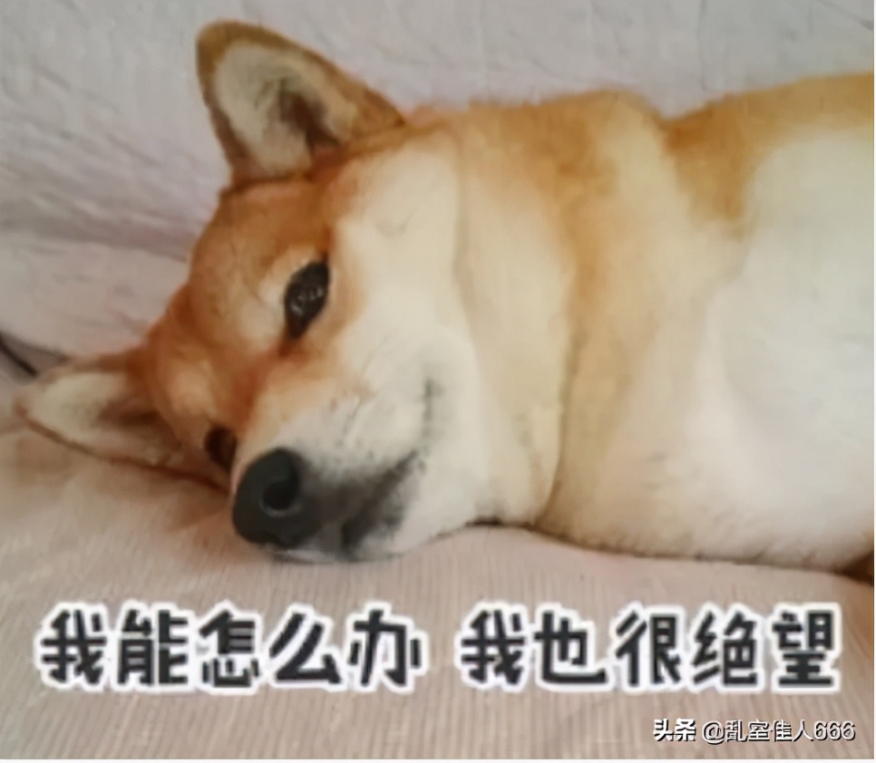 遇到爱占小便宜的人,喜欢占小便宜的人是什么心态