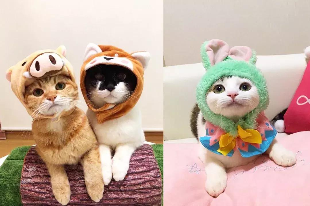 gucci和supreme联名马丁靴,guccisupreme鞋子