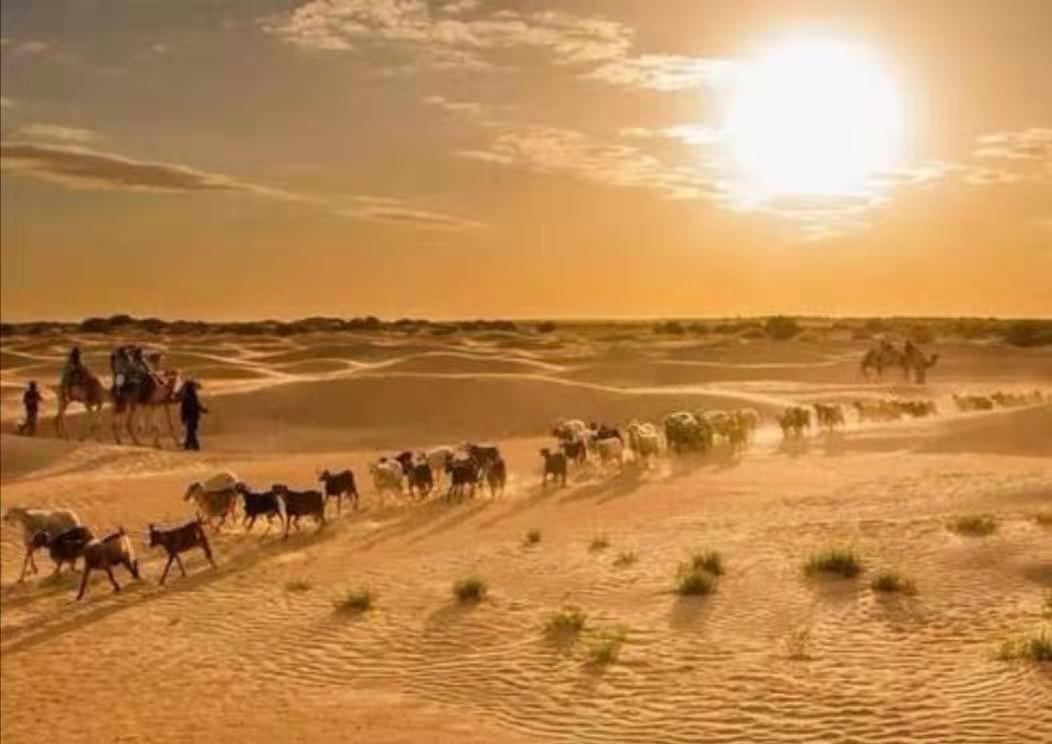 三毛撒哈拉的故事经典语录,三毛在撒哈拉沙漠时期作品