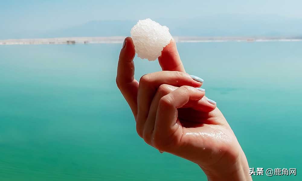 死海为何没有海洋生物,为什么死海会被叫做死海