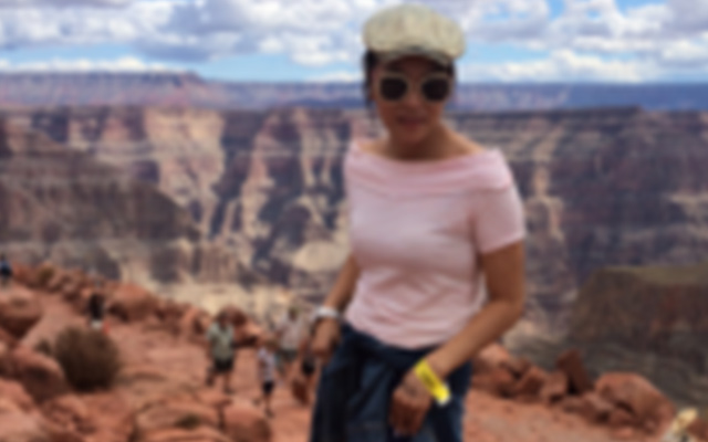 一家三口去美国被拒签的机会大吗,一家四口美国签证