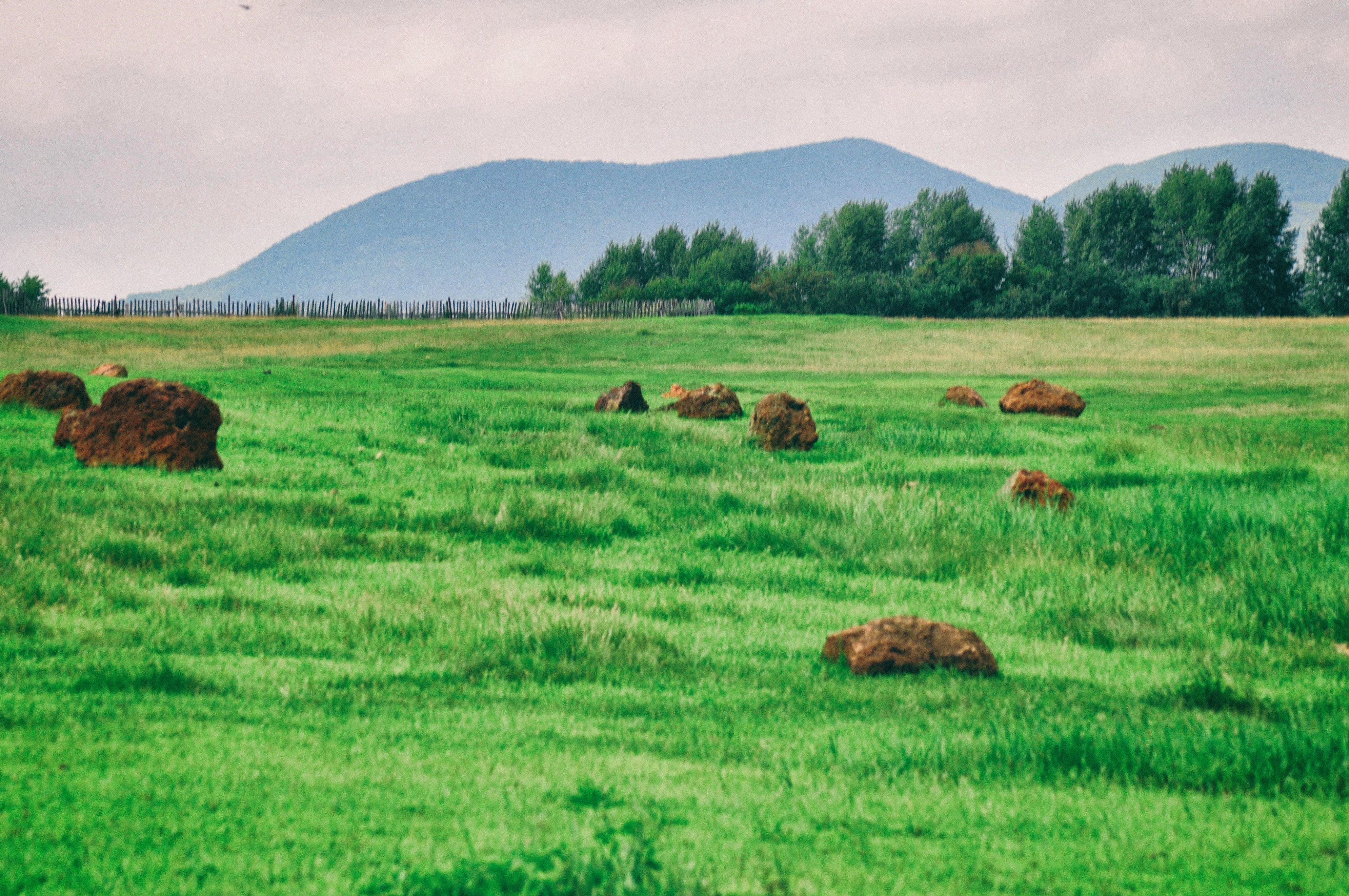 东北游记攻略,东北游记最新视频