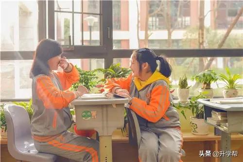 武侯外国语学校2022小升初,武侯外国语学校小学新校区怎么样