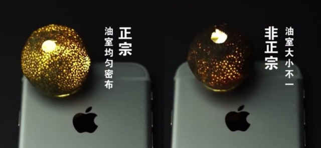 如何分辨青柑普洱的真假,大红柑普茶怎么分辨好坏