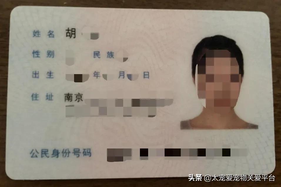 十二指肠溃疡丨太宠爱理赔案例南京天圆宠物医院