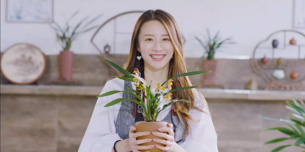 兰花品种大全精品兰花,兰花新品种老品种价值