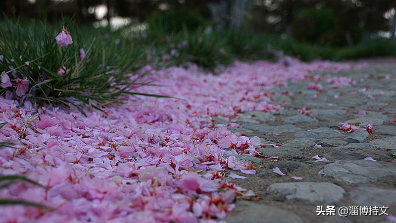 热爱生活从每日跑步开始,跑步让我感受健康和快乐