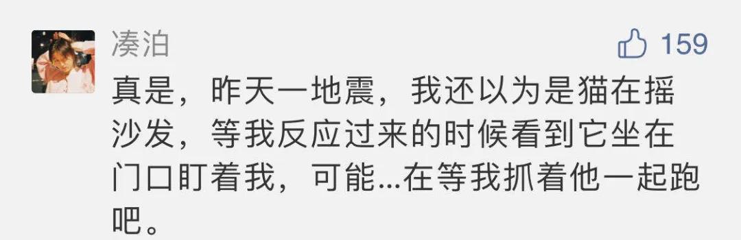 猫地震的时候没有反应,地震了猫会有反应吗