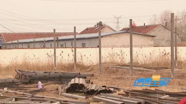 牛肉批发价最新价格,牛肉价格补贴最新消息