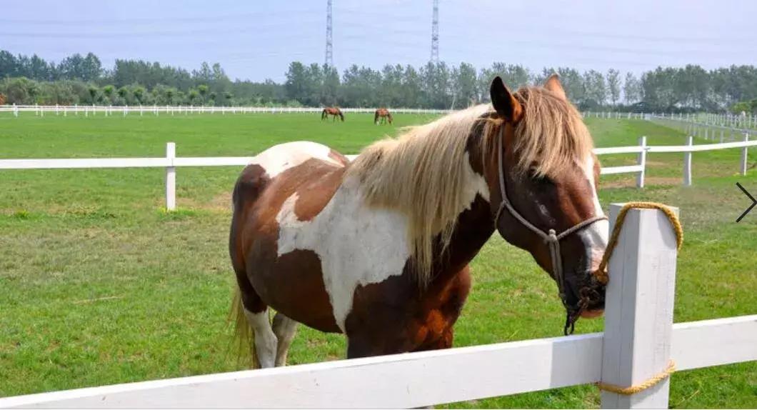 泰州溱湖中式别墅售价多少,泰州溱湖度假村