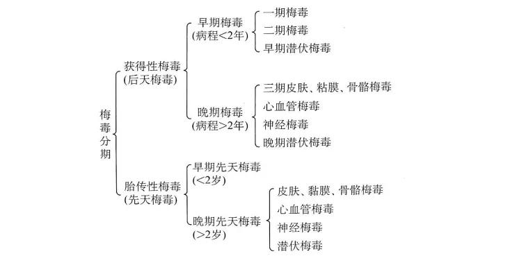 梅毒深入了解,怎样了解自己有没有梅毒