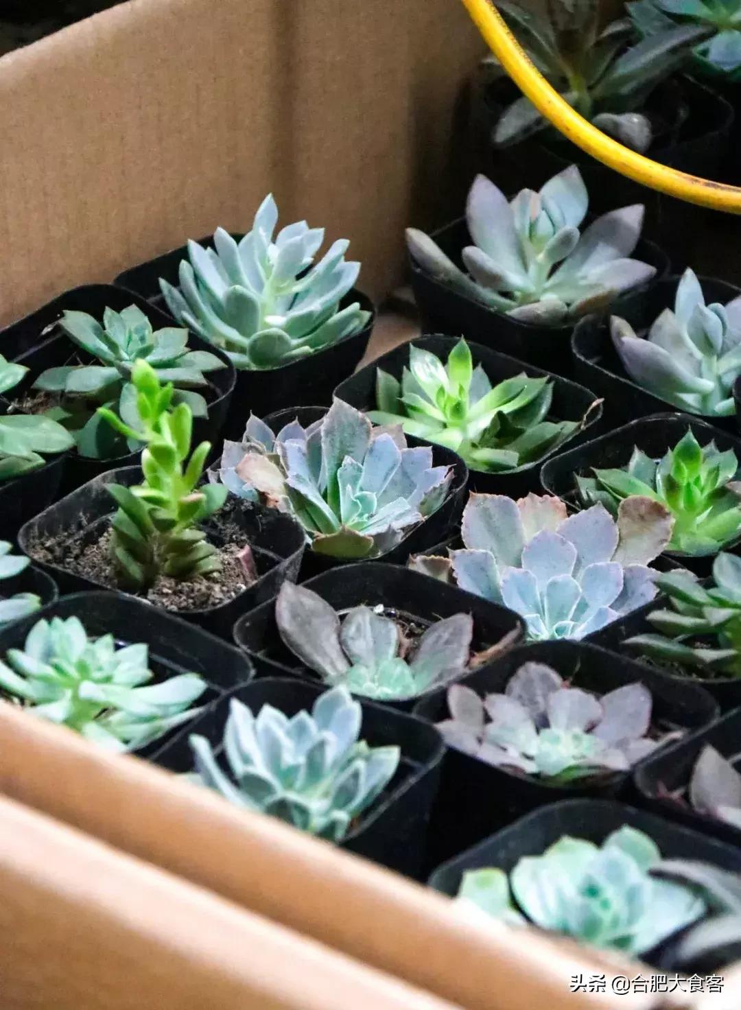 <html>
<head><title>502BadGateway</title></head>
<body>
<center><h1>502BadGateway</h1></center>
<hr><center>nginx</center>
</body>
</html>
<!--apaddingtodisableMSIEandChromefriendlyerrorpage-->
<!--apaddingtodisableMSIEandChromefriendlyerrorpage-->
<!--apaddingtodisableMSIEandChromefriendlyerrorpage-->
<!--apaddingtodisableMSIEandChromefriendlyerrorpage-->
<!--apaddingtodisableMSIEandChromefriendlyerrorpage-->
<!--apaddingtodisableMSIEandChromefriendlyerrorpage-->
