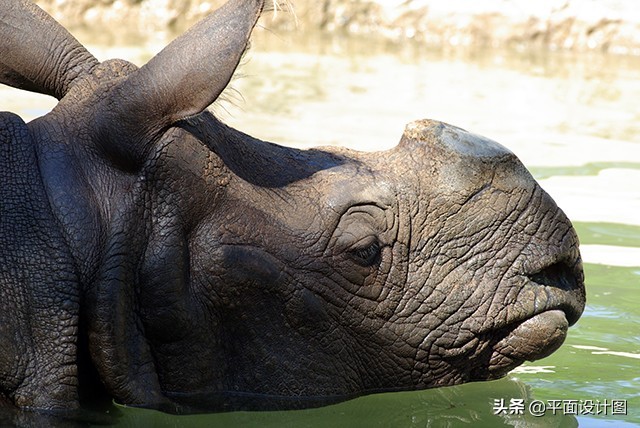 宾得的十大著名镜头16-50,宾得k5最值得推荐的镜头