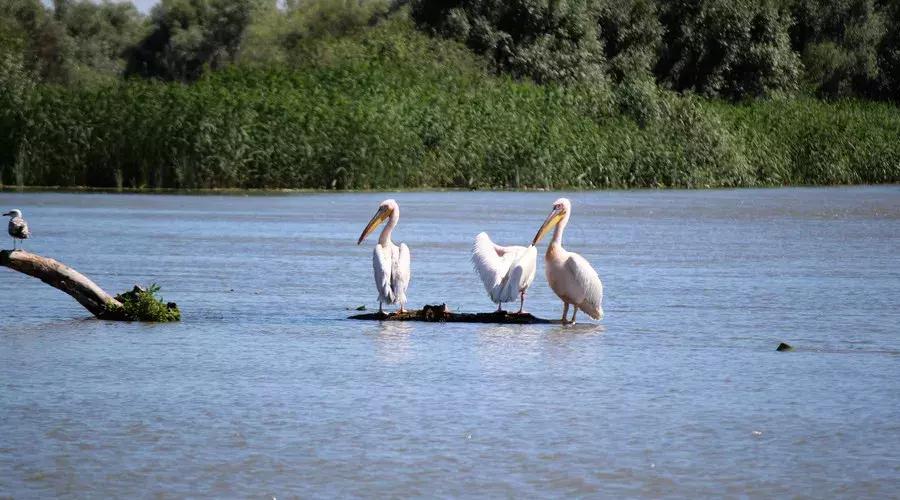 多尔衮府邸花园,北京胡同里的多尔衮王府
