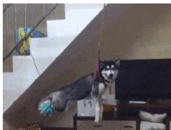 回家的路上看到这么多钱，背包都装不下啊，现在该怎么办