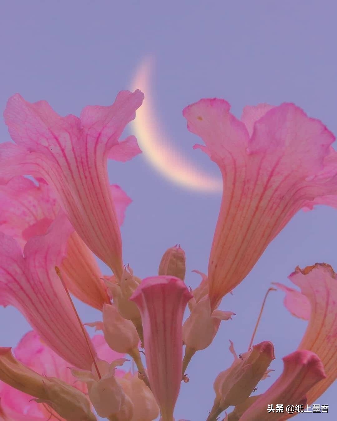 以后漫长的时光，你走了，我该怎么办？