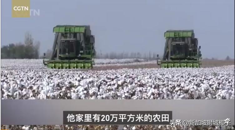 美国亚马逊下架中国棉！*疆新**小姐姐HM门前跳舞，网友惊呼太美