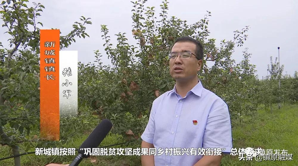 襄汾花椒映红致富路,陇南武都小康路上花椒红