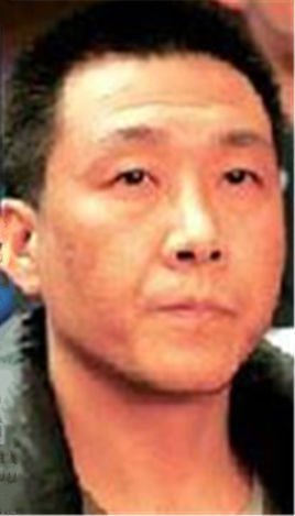 征服刘华强前妻原型王可心照片,征服原型大鹏为什么帮刘华强杀人