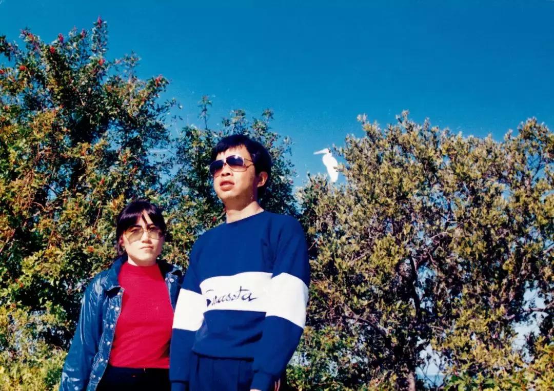 网红一夜收入千万,网红一夜之间一无所有