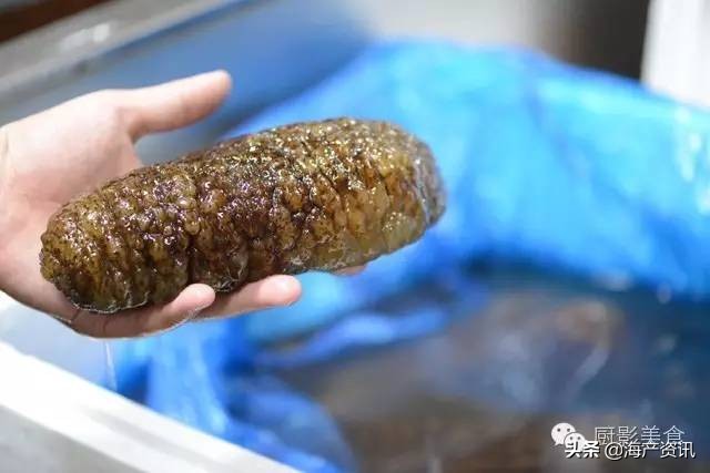 世界公认十大海鲜,全球顶级海鲜食材大赏