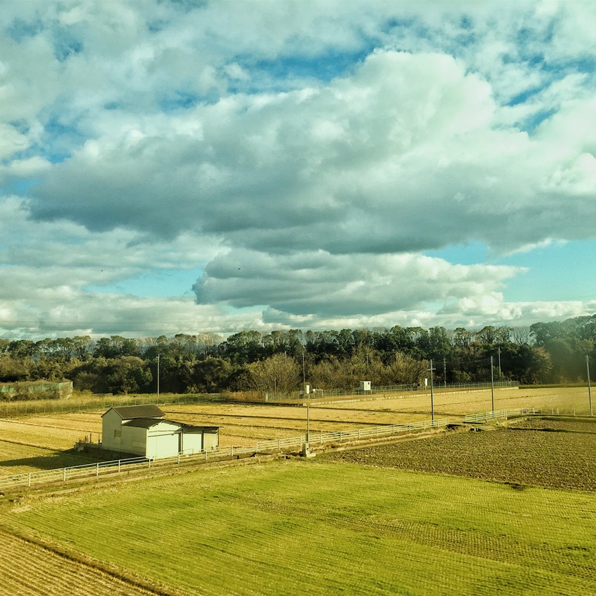 闭着眼也能玩的游戏,大阪自由行最详细攻略