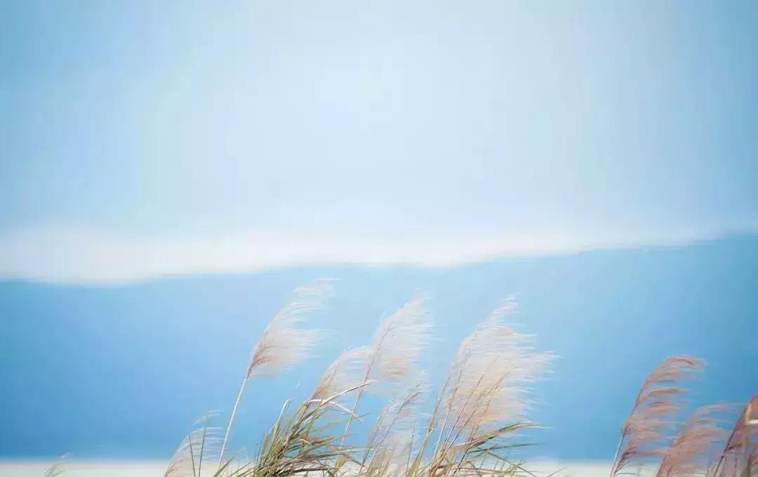 聪明家长都这样辅导孩子,聪明家长如何辅导作业