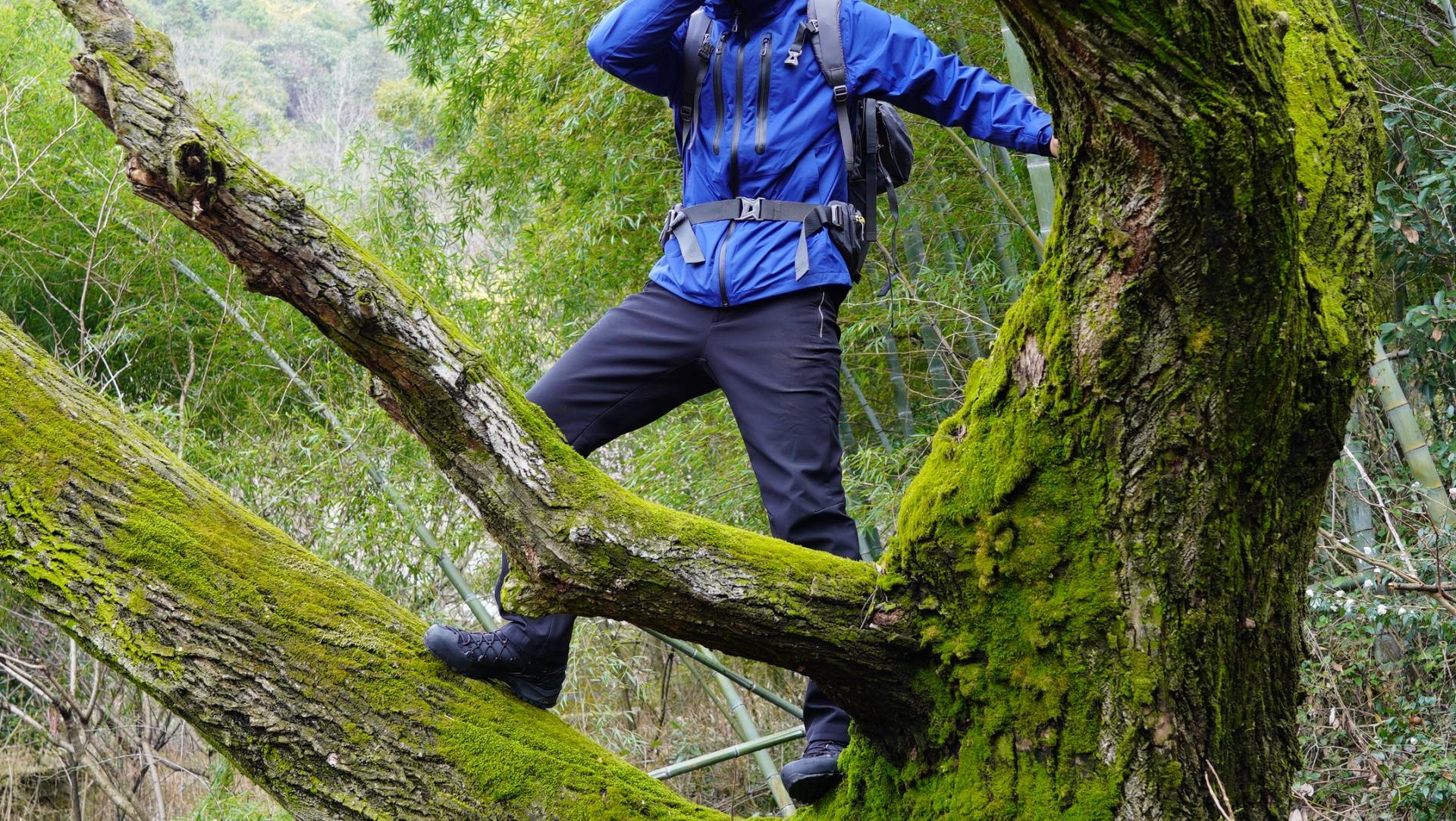 沙乐华户外鞋评测,沙乐华鞋子基础款