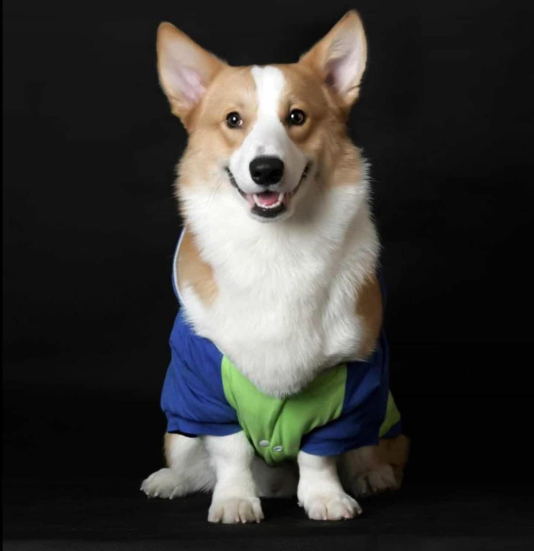 狮子大开口是很棒的销售策略,搭配帮助客户解决最后问题效果不错