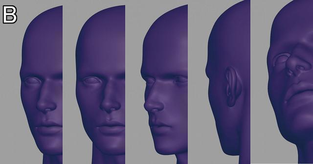 建模自学教程500集,人体建模零基础教学