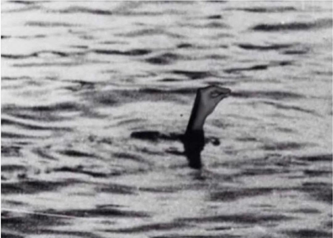 不愧是意大利人阅读理解,不愧是意大利人拍出来的风情