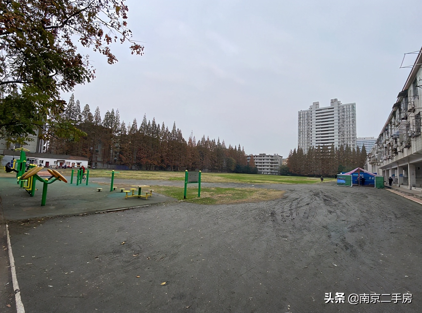 环境很好的老小区,环境好老小区