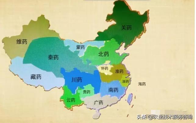 现在最适合种植野生的药材是什么,最适合山区种的药材有哪些