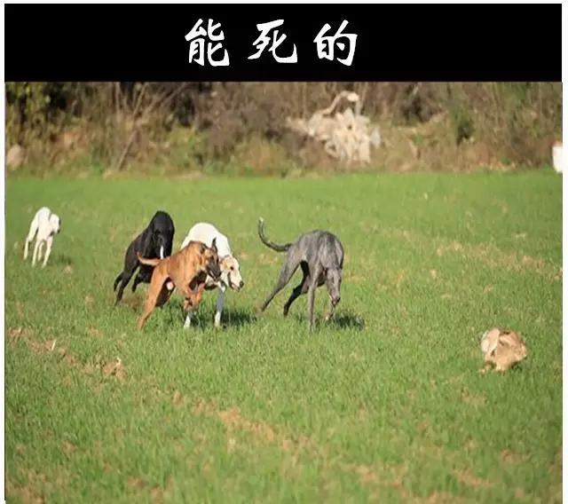 销售的最高境界掌握三大魔鬼法则,顶级销冠的6种销售话术绝招