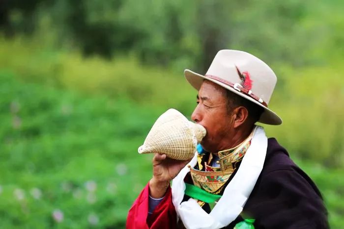 这只海螺轮回了5世，才成为敖丙送哪吒的信物