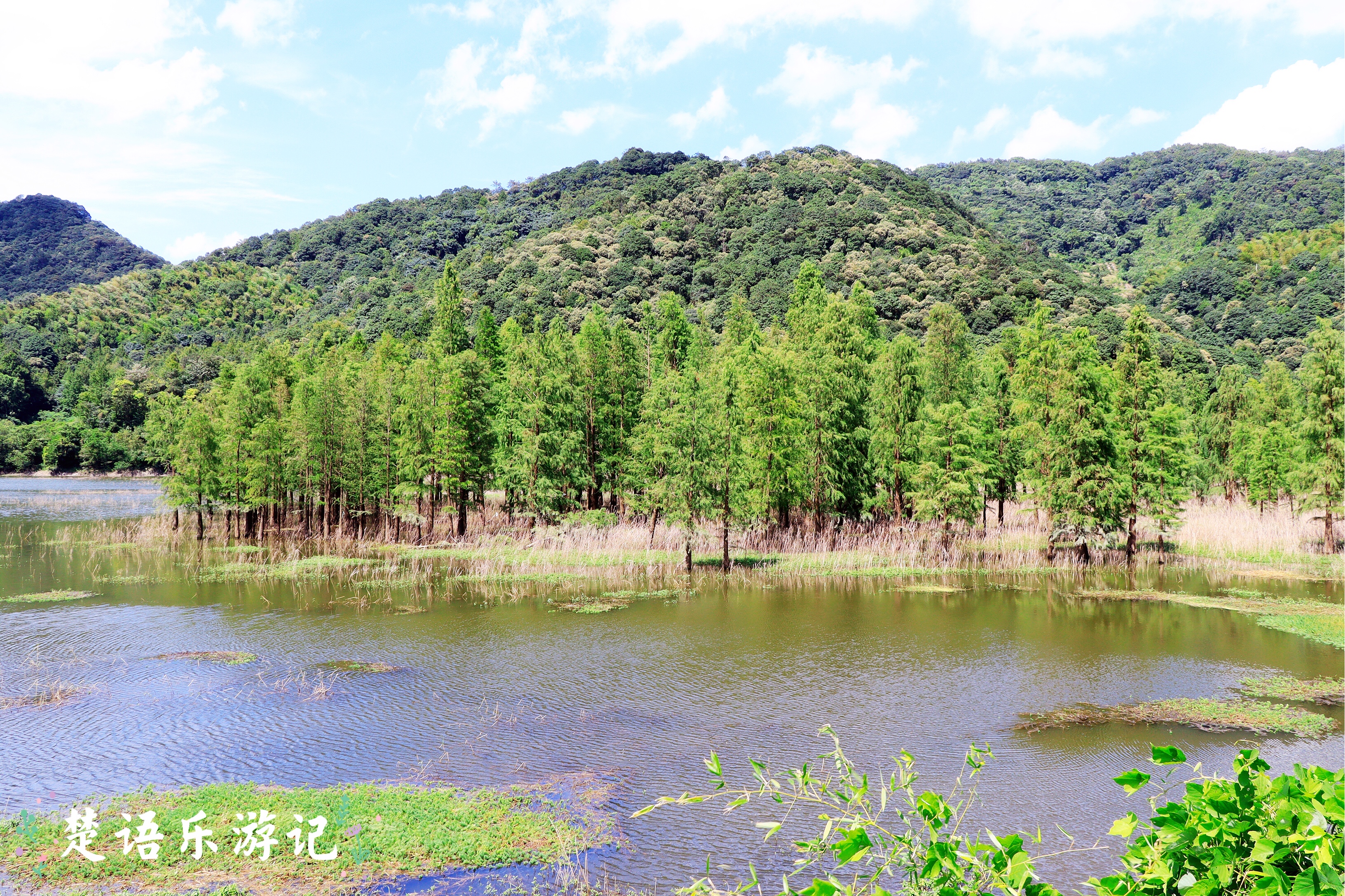 宁波太白山麓东吴镇，《大江大河2》的取景地，竟藏着几十处风景