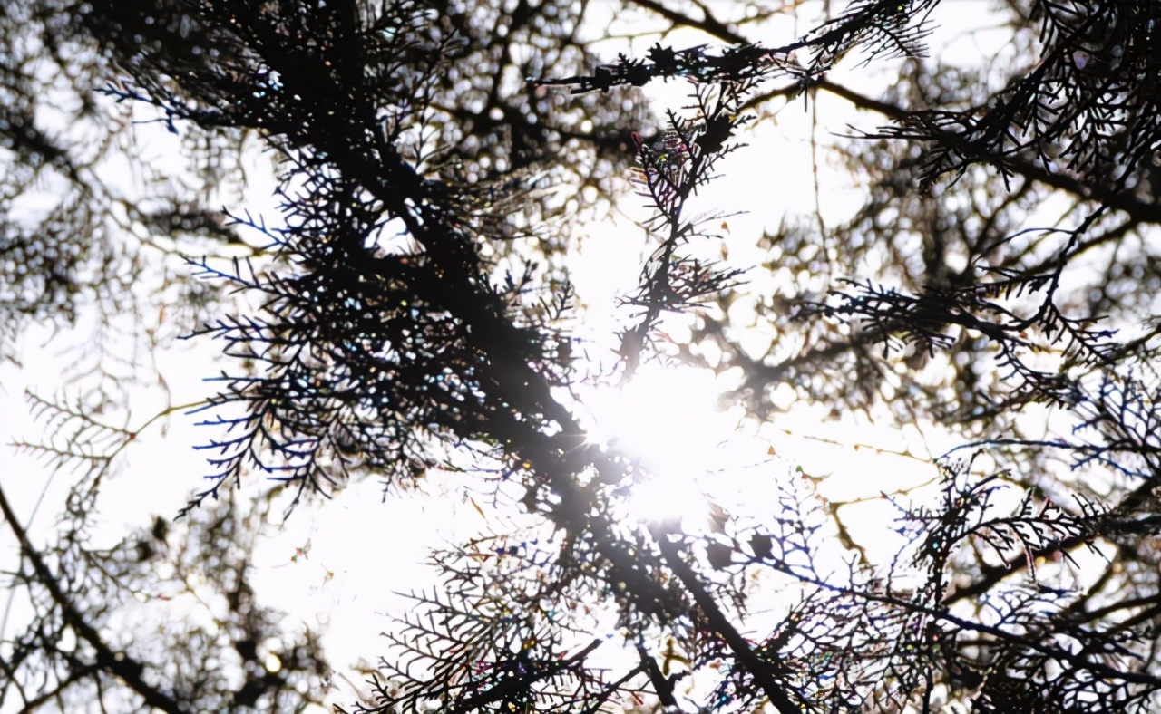 L鍗″彛闀跨劍闀滃ご,l鍗″彛70-300闀跨劍闀滃ご鎺ㄨ崘