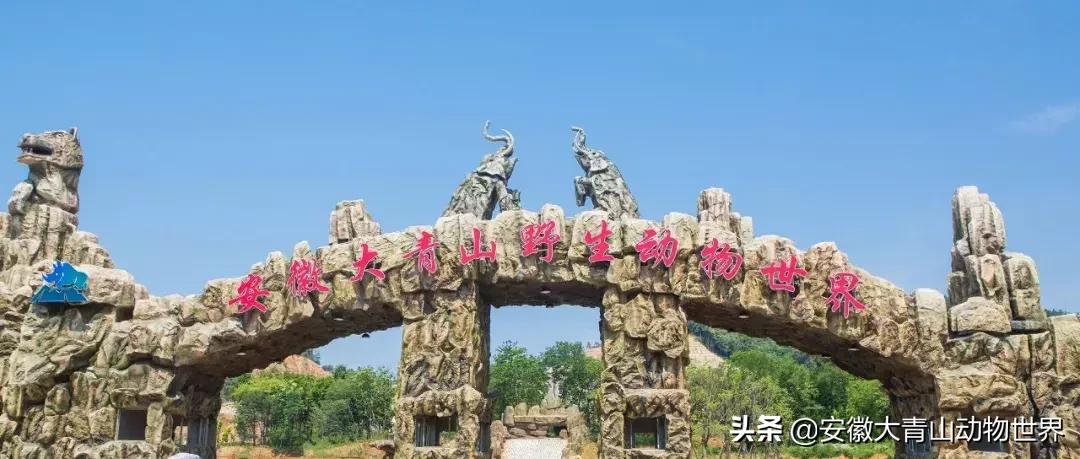 萌萌分不清楚?谁才是真正的神兽“草尼玛”