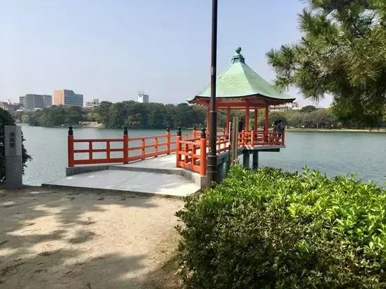 鹿儿岛与熊本,熊本县一日游超全攻略