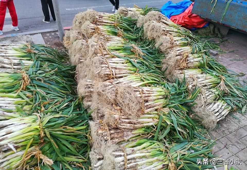 大葱怎么保存好过冬,大葱怎么保存比较好吃