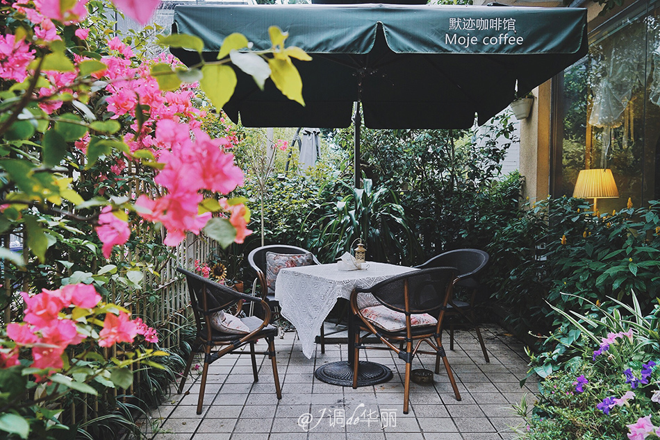 厦门没去过的地方,厦门没去过的景点