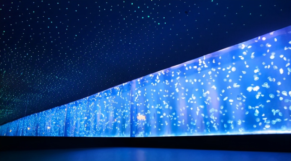 去不了海就去海洋馆,去不了大海就去海底世界