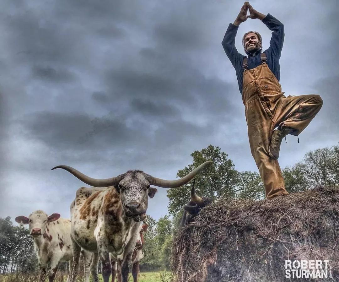 当瑜伽遇上太极,当瑜伽遇到舞蹈