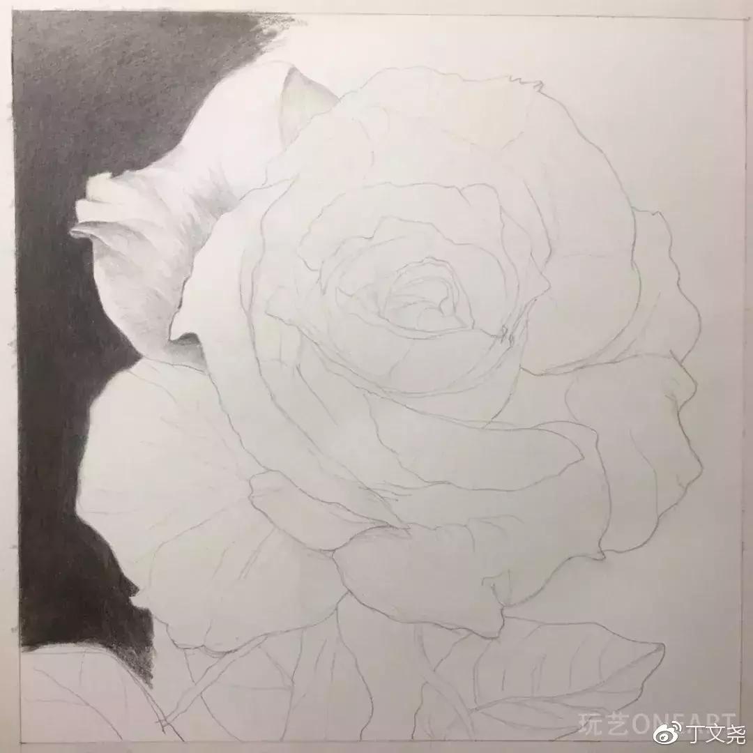 素描教程简单8-12岁玫瑰花,玫瑰素描怎么画