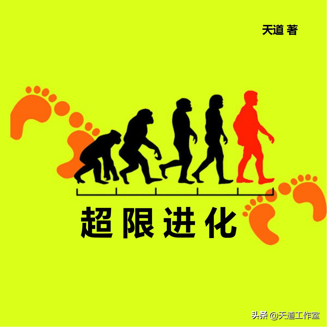 zippo的品牌都有哪几种,zippo的品牌辨识度与知名度