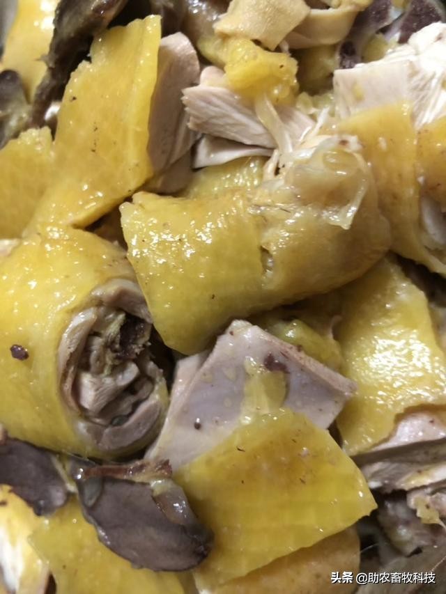 鸡鸭价格低迷销售困难怎么办？这几招来解困