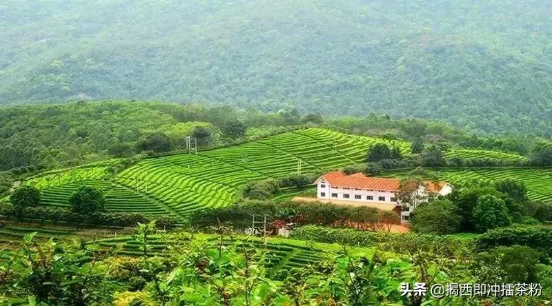 对不起，我要回梅州了上