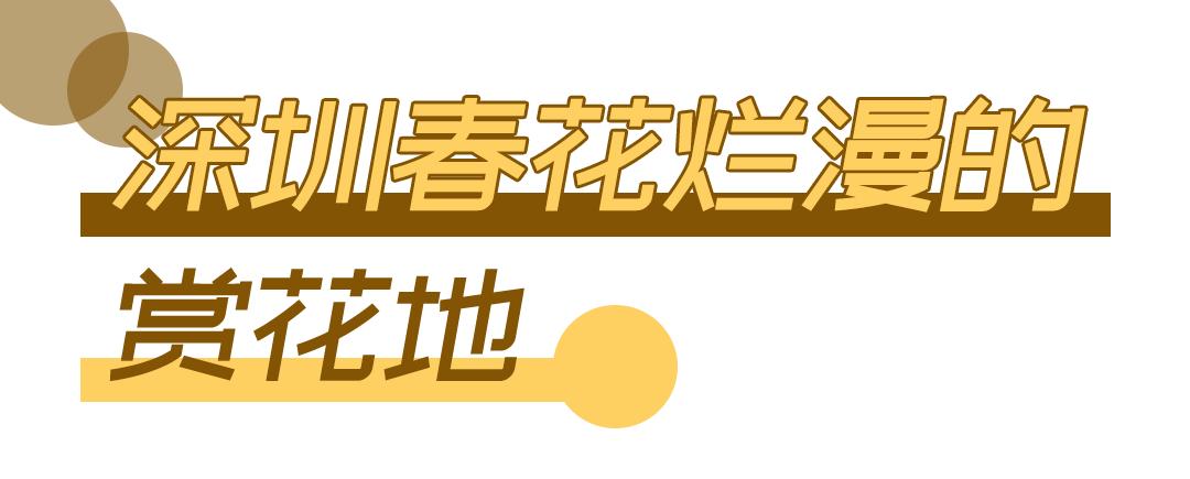 2021深圳免费适合遛娃玩地方排名,深圳免费游玩景点推荐