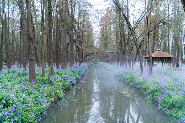 踏春赏花拍美景,踏春赏花逛湖
