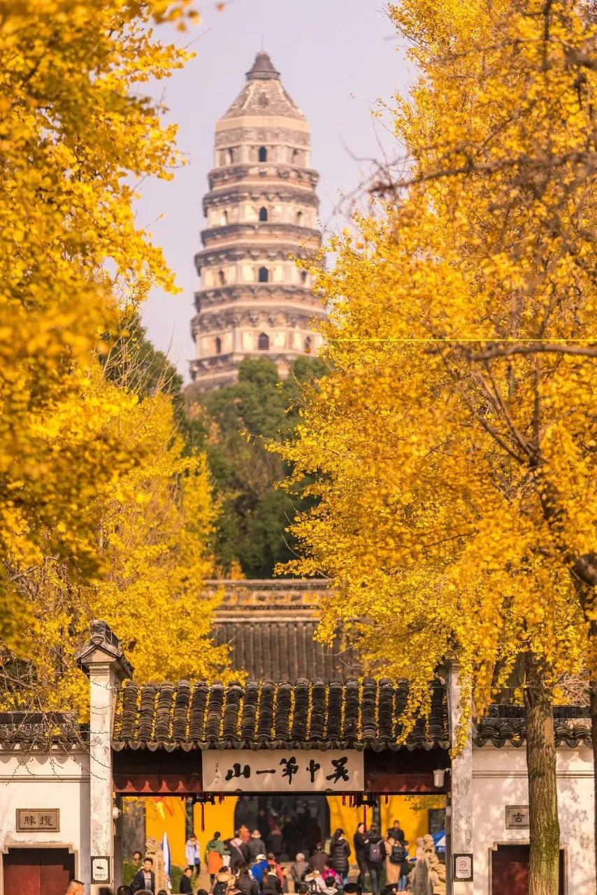 枫叶租车成都店,苏州旅游自驾租车